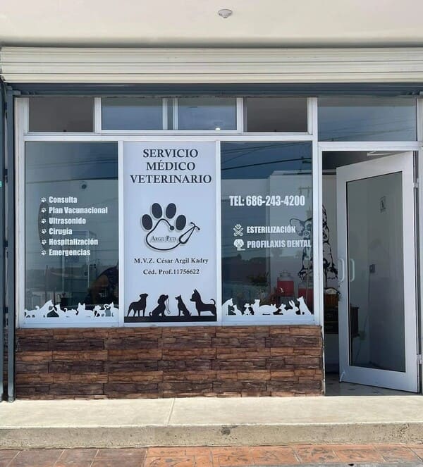 Argil Pets Servicio Medico Veterinario Argil Pets Servicio Medico Veterinario