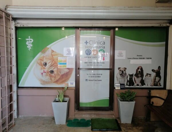 Clínica Veterinaria Animal Care Center en Cabo san Lucas Clínica Veterinaria Animal Care Center en Cabo san Lucas