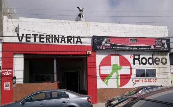 Clinica Veterinaria El Rodeo Clinica Veterinaria El Rodeo