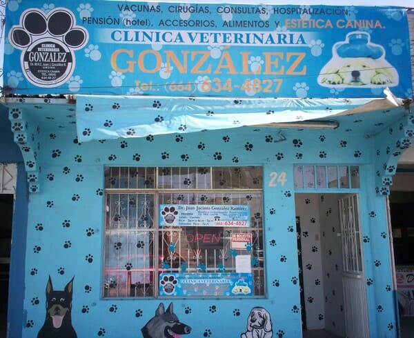 Clínica Veterinaria González Clínica Veterinaria González
