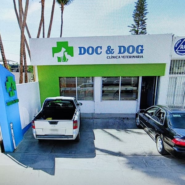 Doc&Dog Clínica Veterinaria en Cabo san Lucas Doc&Dog Clínica Veterinariaen Cabo san Lucas