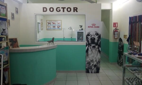 Dogtor veterinarios en Cabo san lucas Dogtor veterinarios en Cabo san lucas