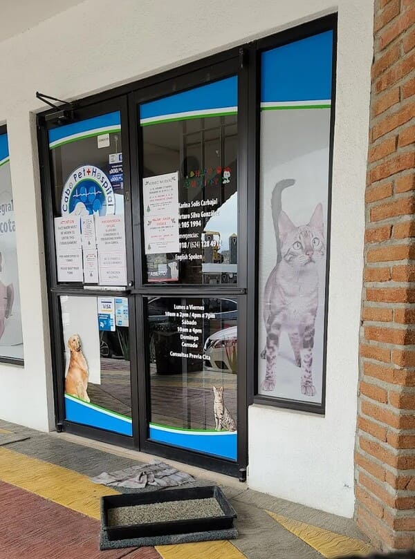 Cabo Pet Hospital Cabo Pet Hospital