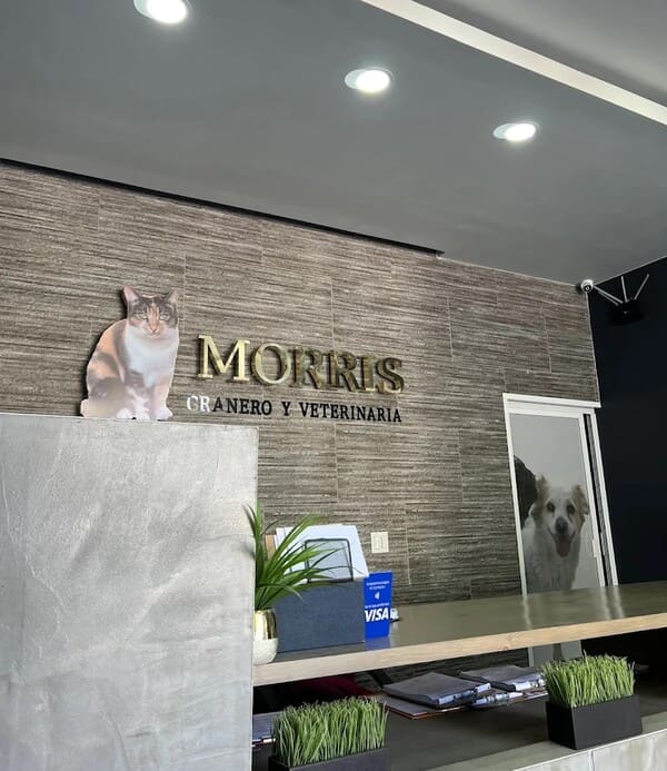 Morris Granero y Veterinaria  Morris Granero y Veterinaria