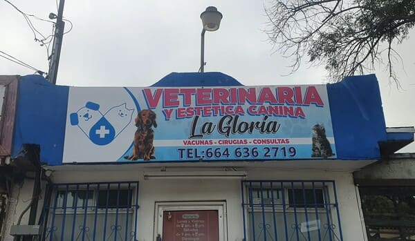 Clínica veterinaria Gloria Clínica veterinaria Gloria