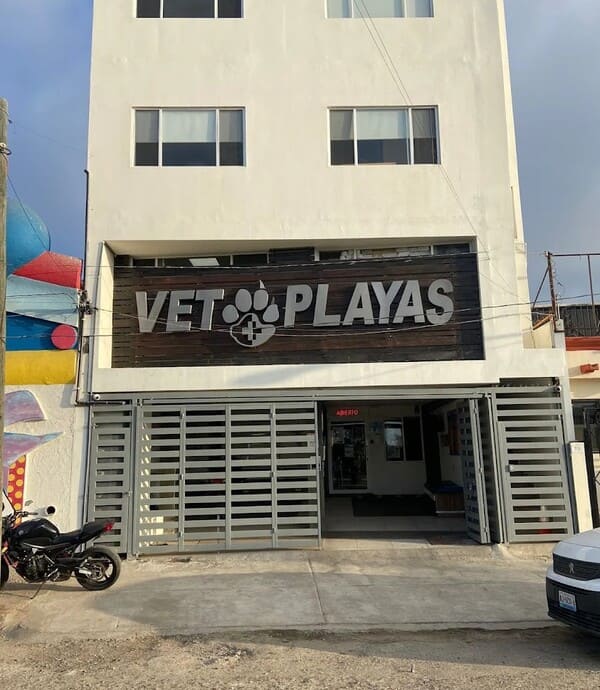 Vet Playas Veterinary Hospital Vet Playas Veterinary Hospital
