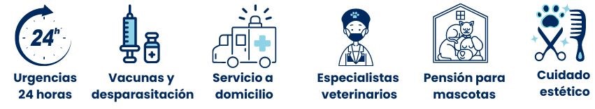 Servicios veterinarios Servicios veterinarios