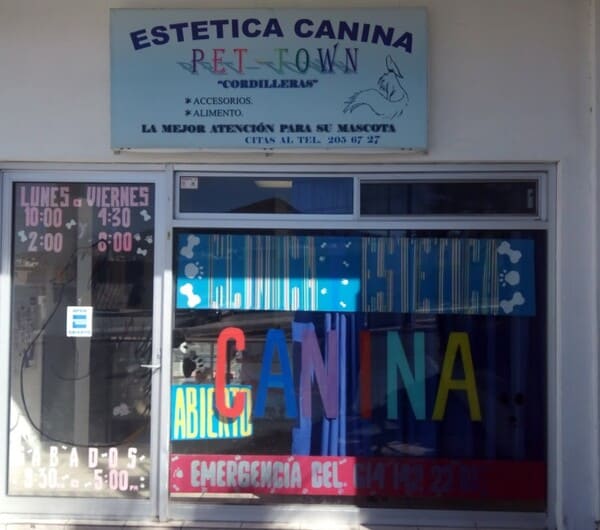 Estética Canina Pet Town en Chihuahua