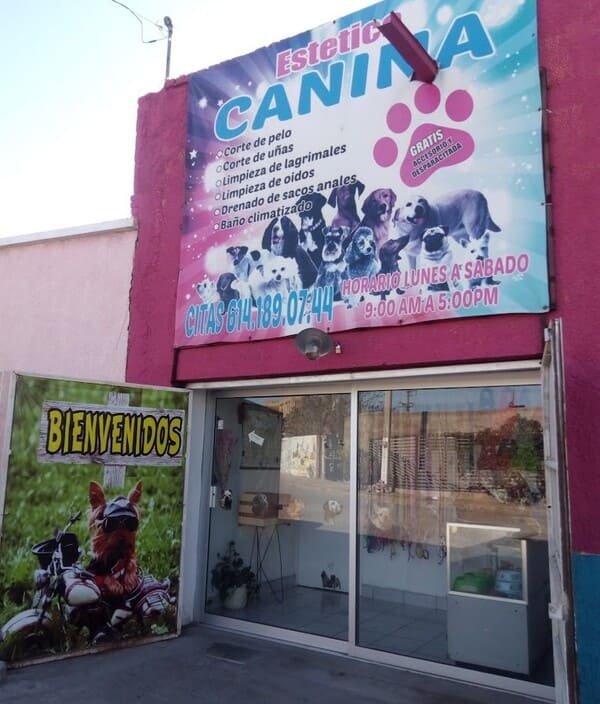 Estética Canina Rosario en Chihuahua