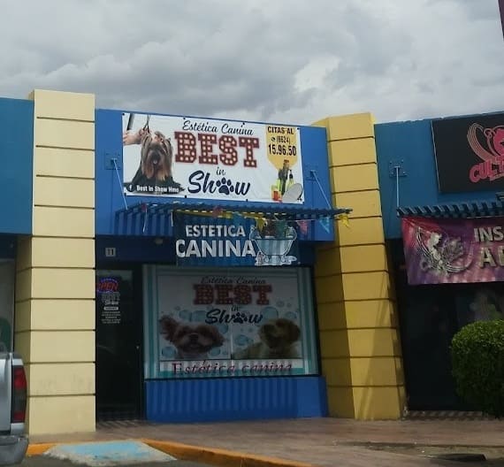 Estética canina Best in Show en Hermosillo