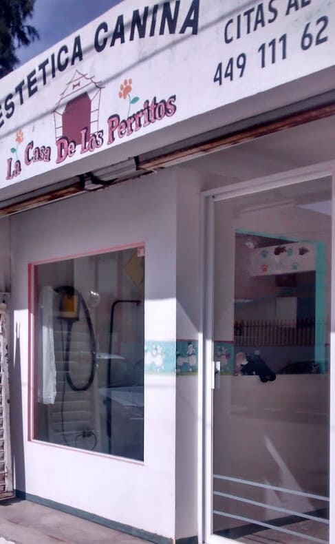 La Casa de Los Perritos, estética canina en Aguascalientes
