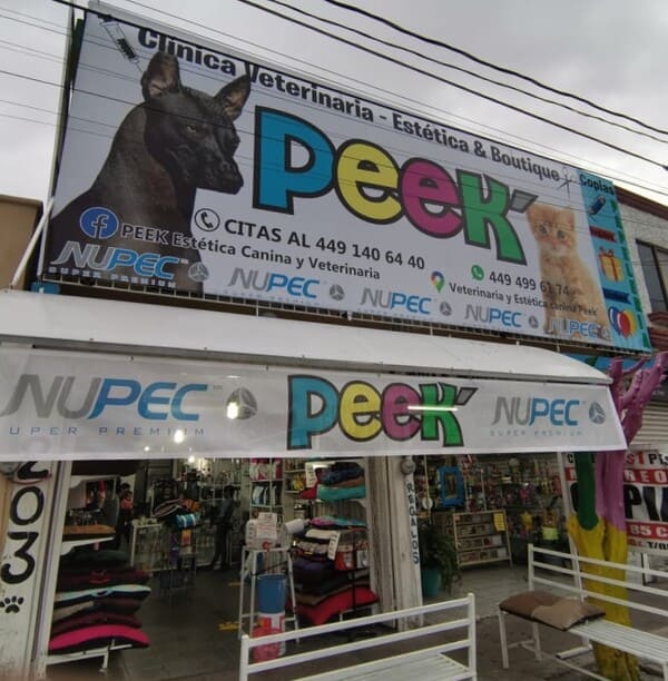 Peek´ Estética Canina en Aguascalientes