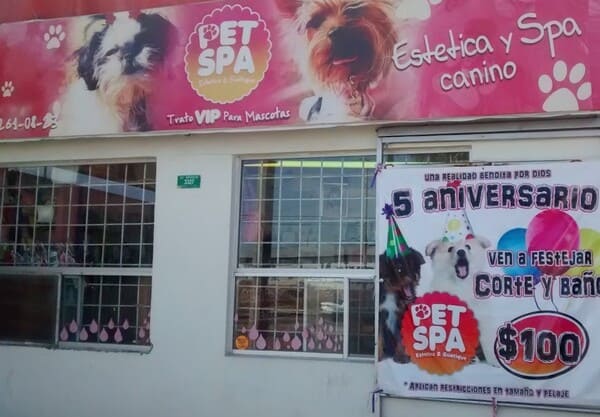 Pet Spa canino en chihuahua