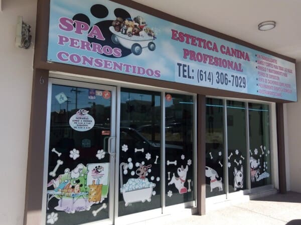 Spa Perros ConsentidosSpa canino en Chihuahua