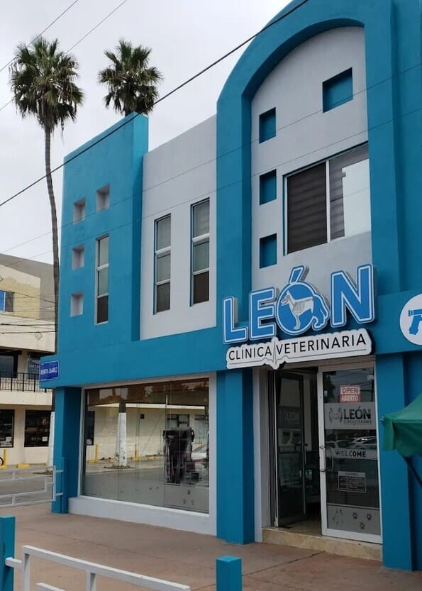 León Clínica Veterinaria León Clínica Veterinaria